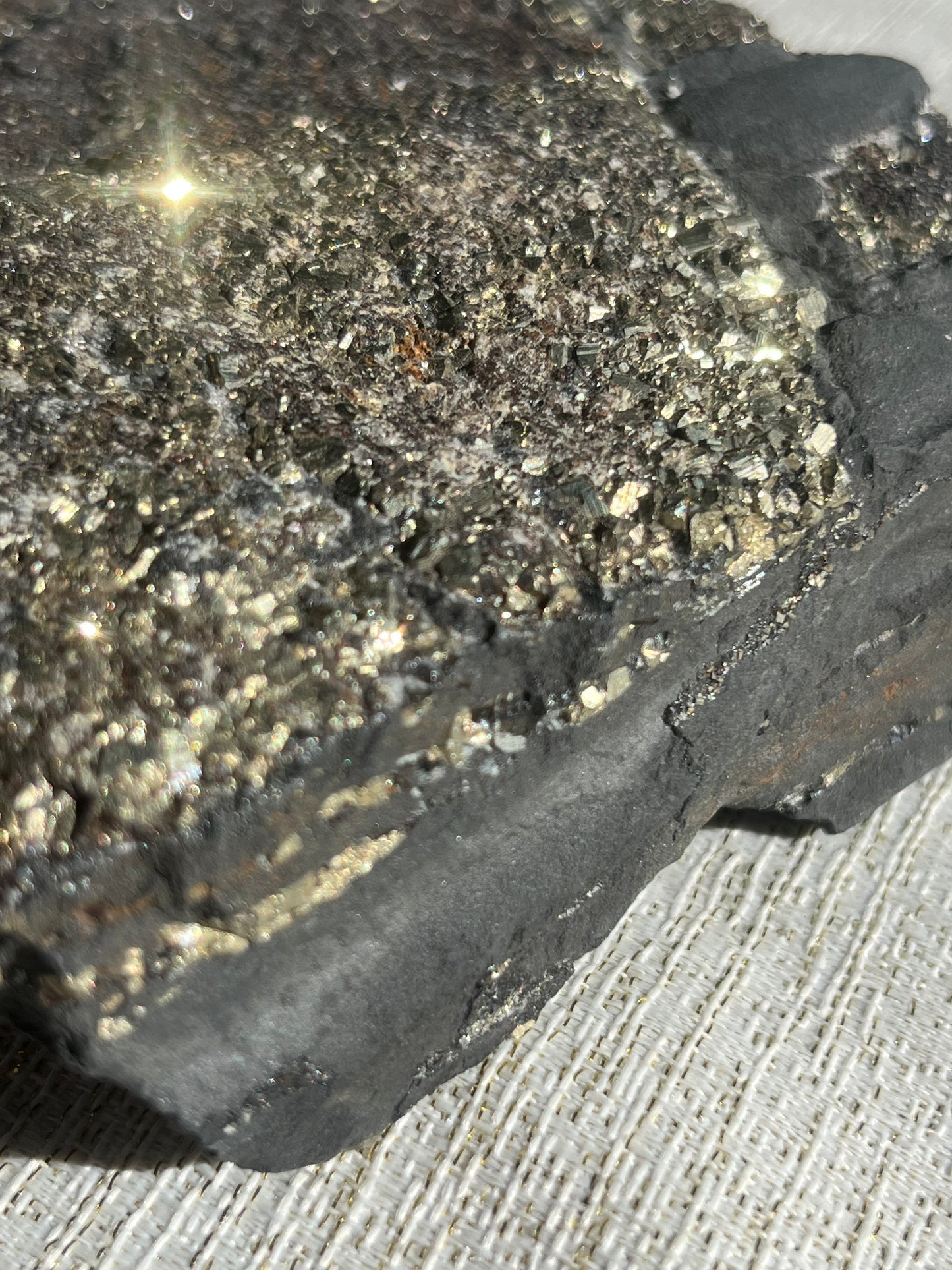 Pyrite in Shungite Specimen A