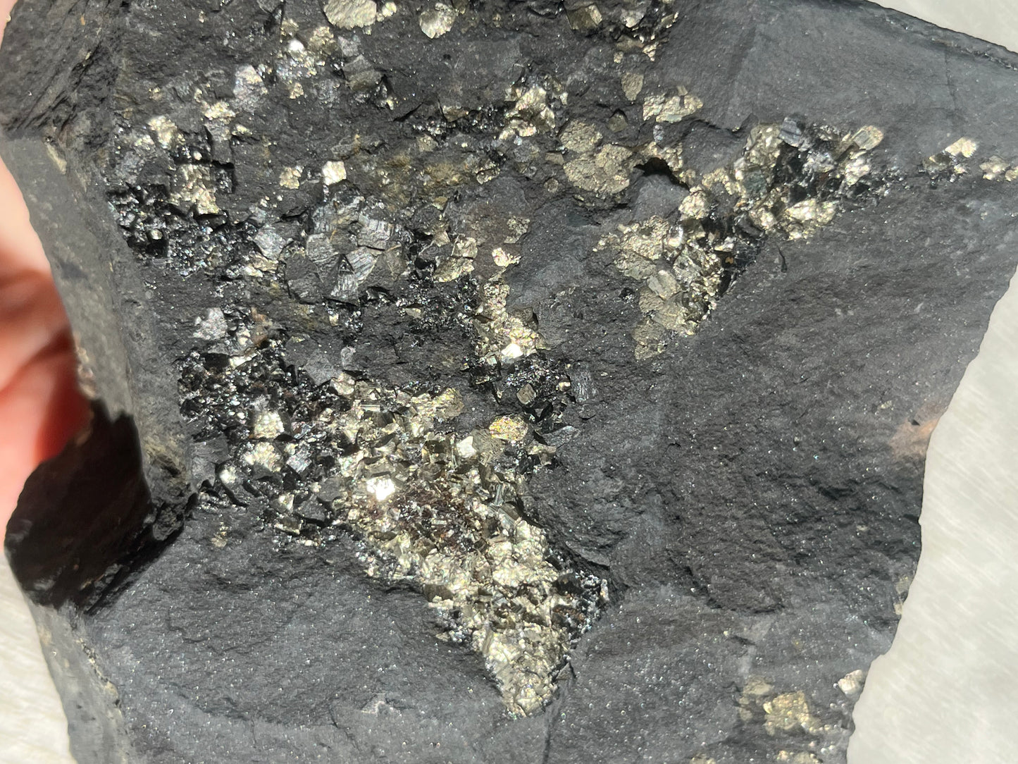 Pyrite in Shungite Specimen A