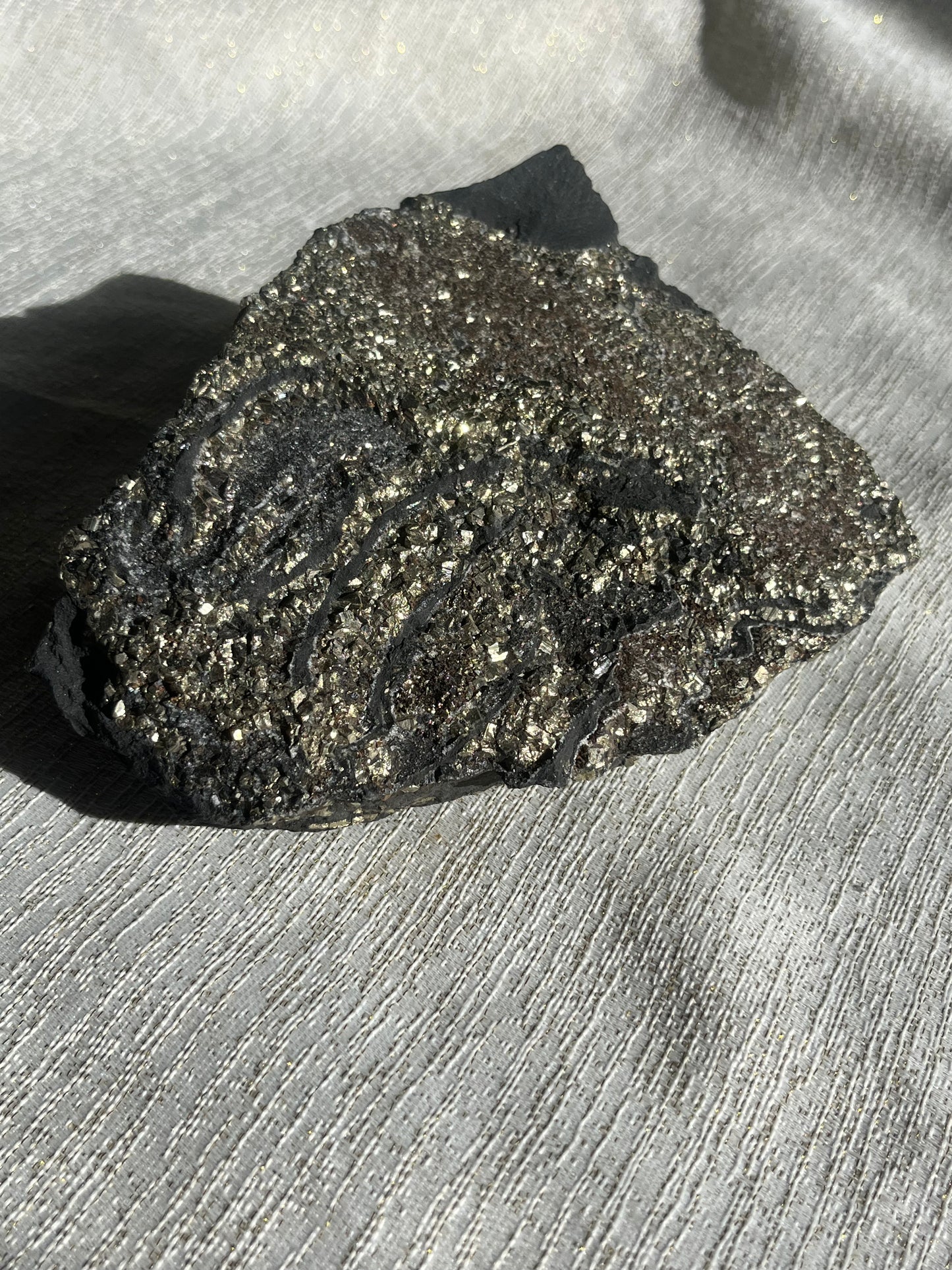 Pyrite in Shungite Specimen B