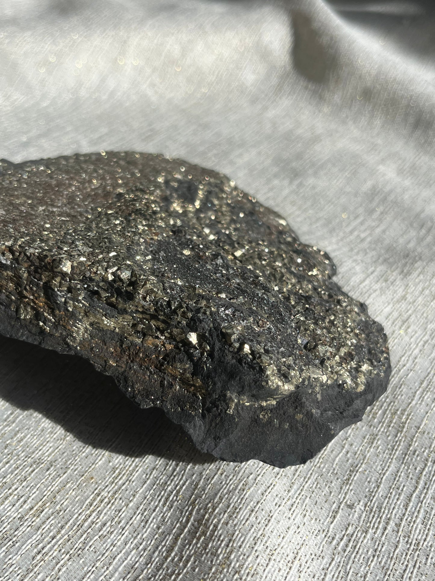 Pyrite in Shungite Specimen B