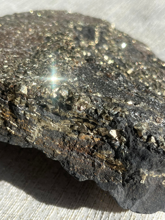 Pyrite in Shungite Specimen B