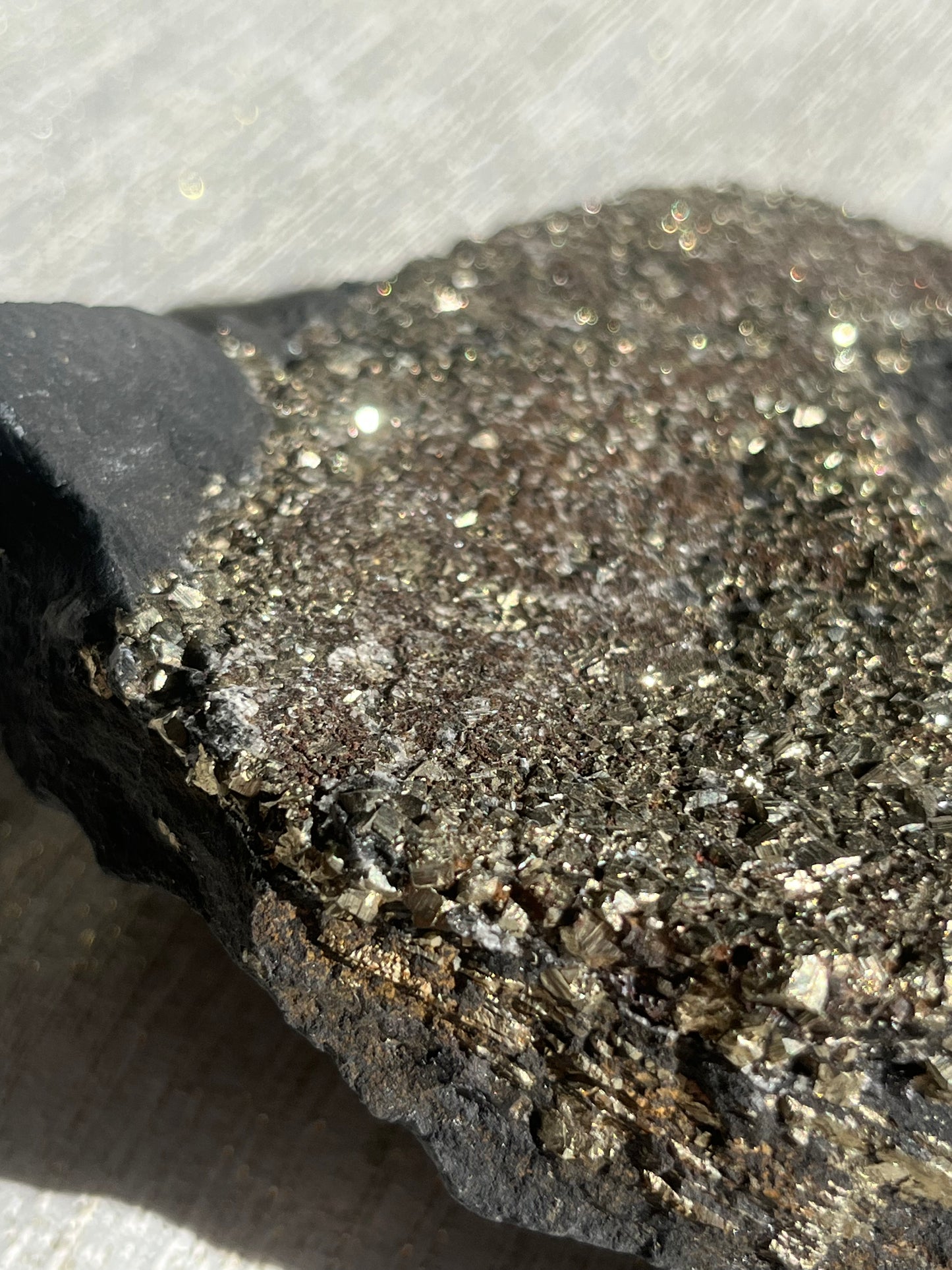 Pyrite in Shungite Specimen B