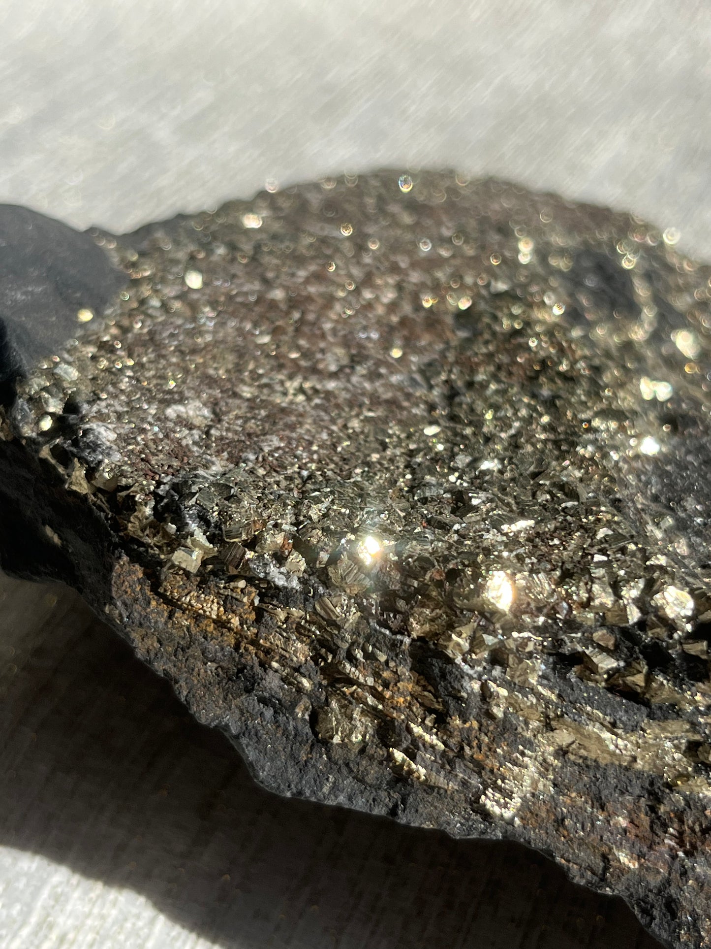 Pyrite in Shungite Specimen B