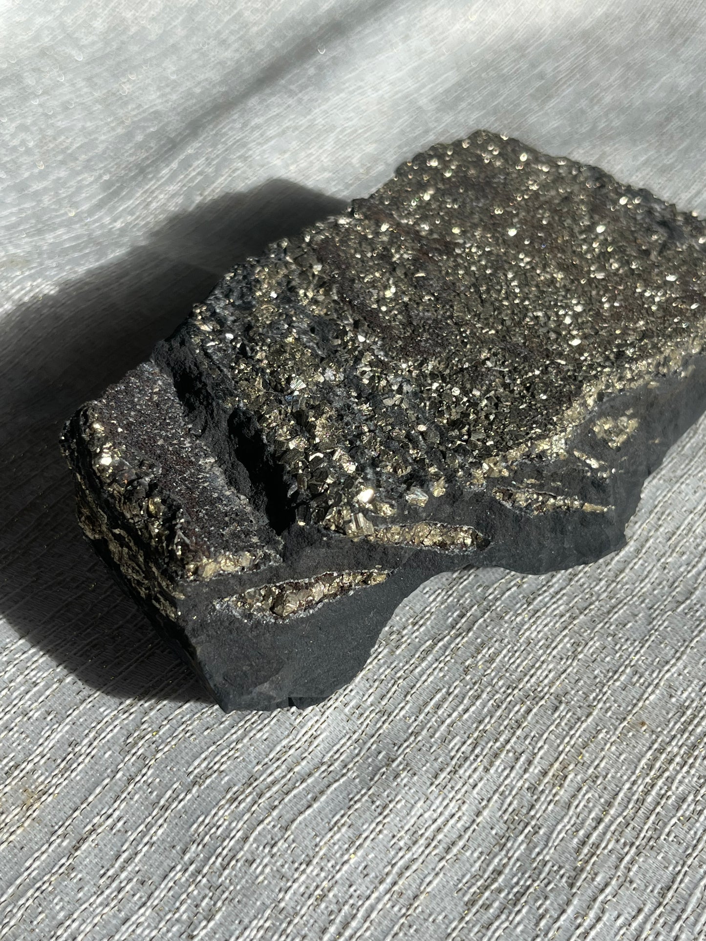 Pyrite in Shungite Specimen C