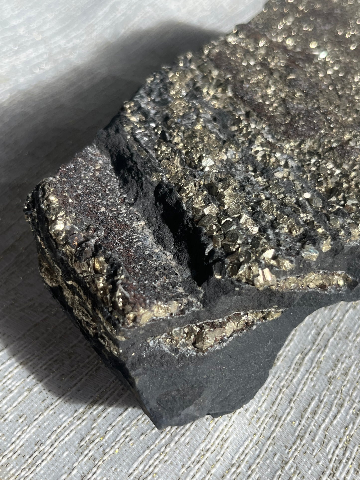 Pyrite in Shungite Specimen C