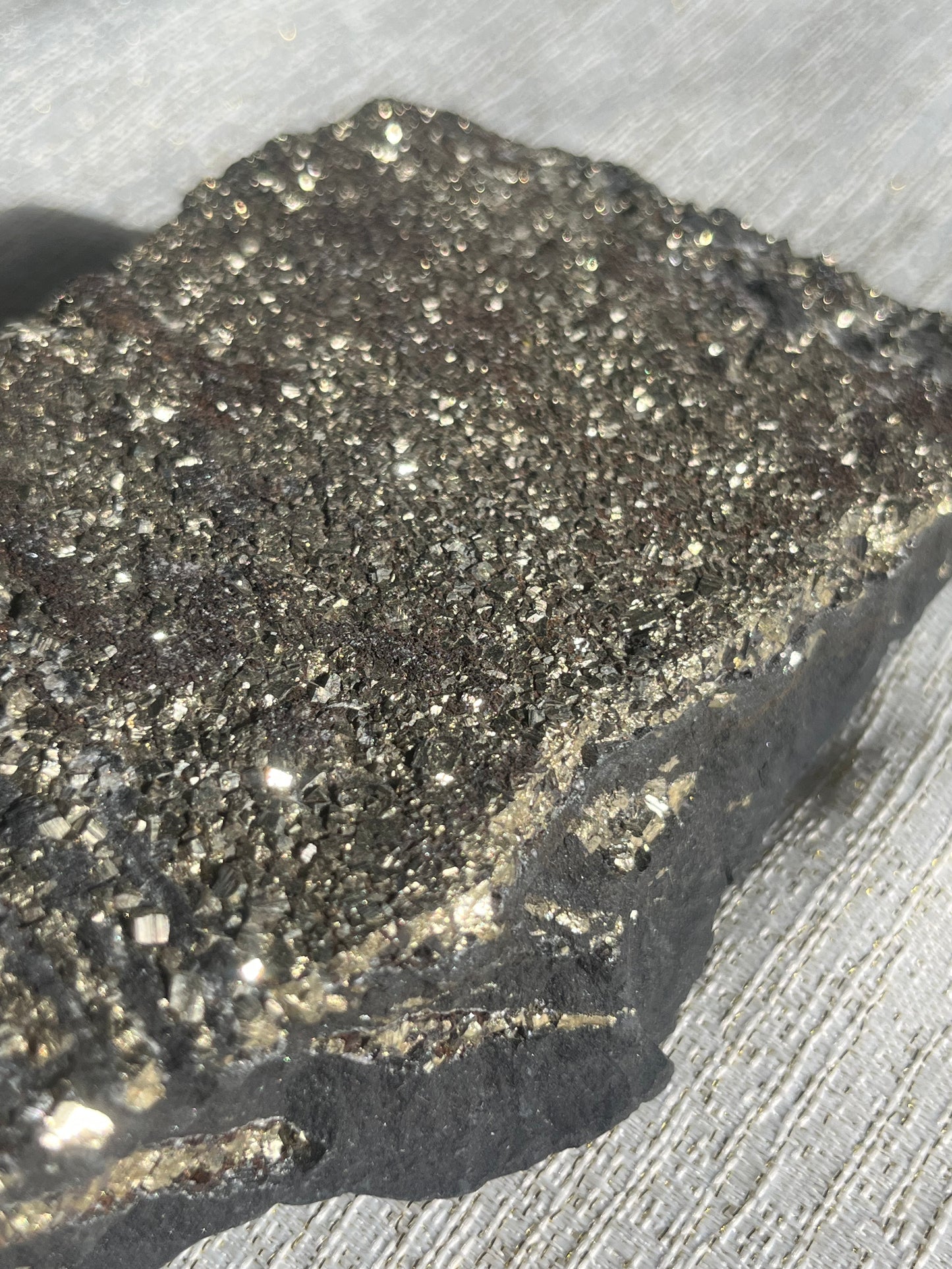 Pyrite in Shungite Specimen C