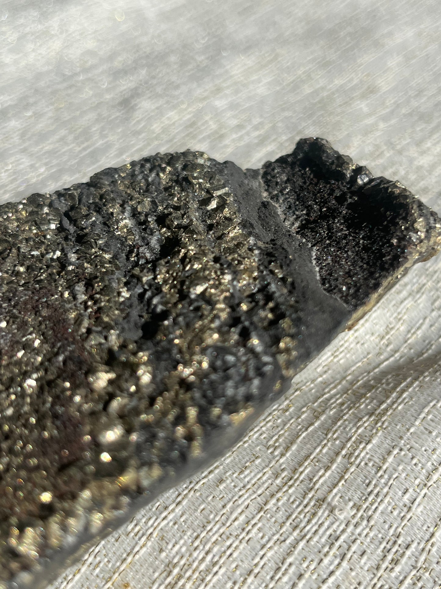 Pyrite in Shungite Specimen C