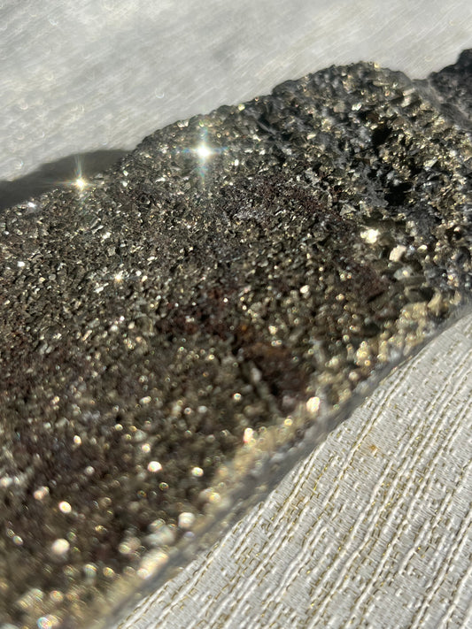 Pyrite in Shungite Specimen C